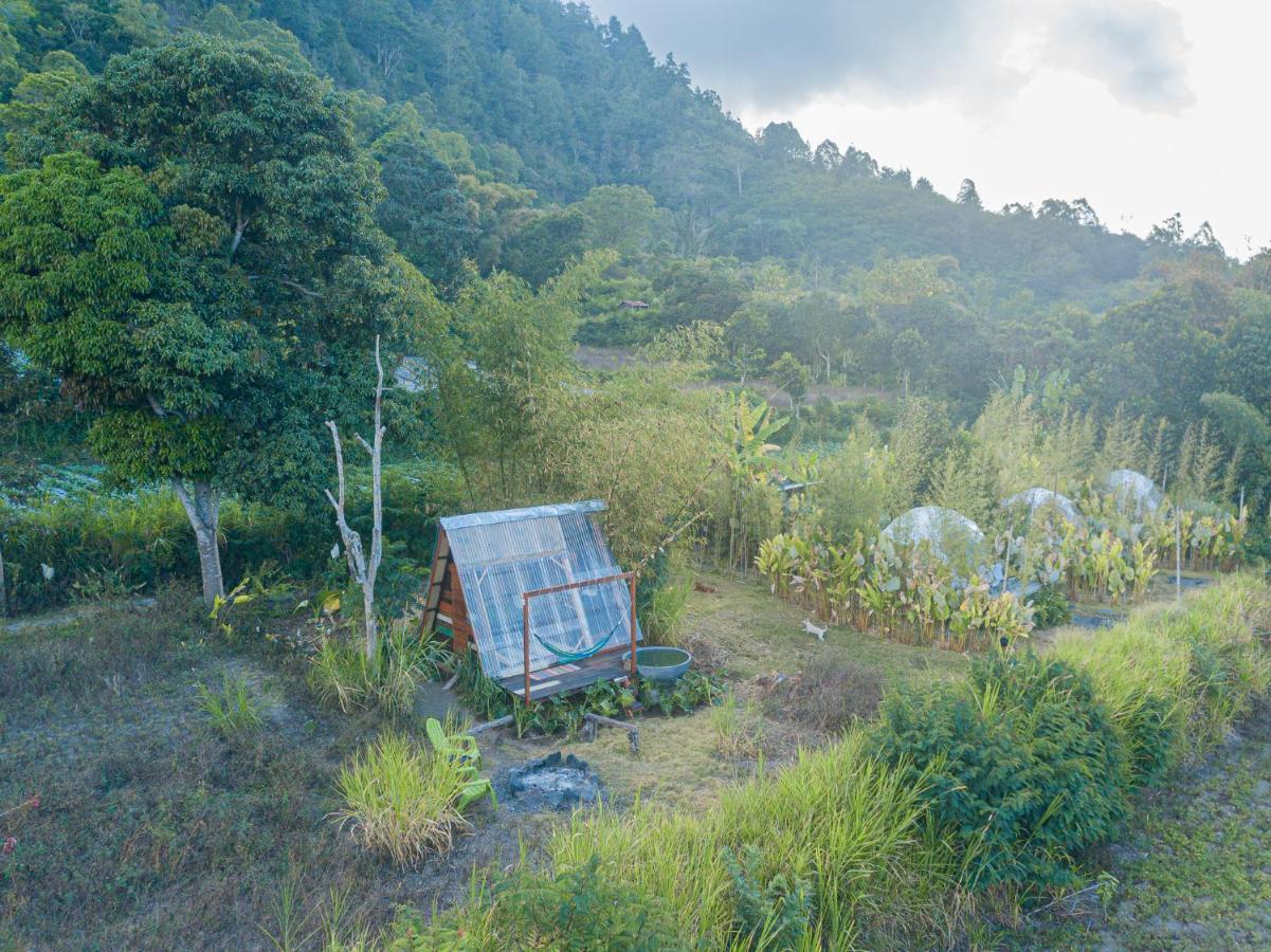Hotel Cloud Hills Glamping Kintamani Exterior foto
